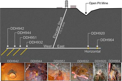 Novel Microbial Groups Drive Productivity in an Archean Iron Formation